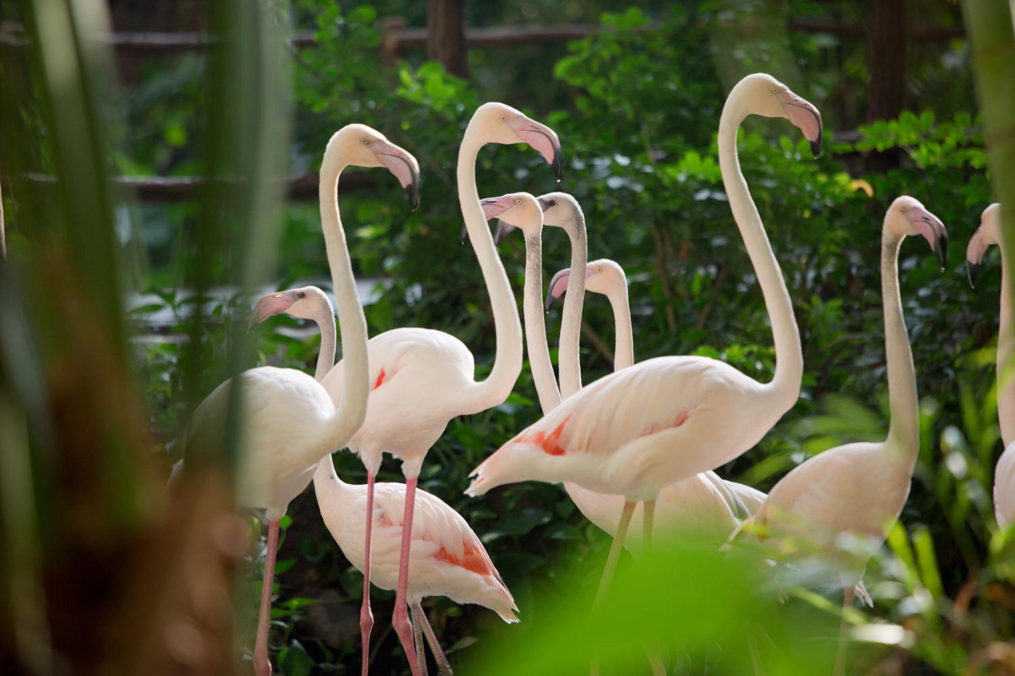Tropical Islands Resort Briesen  Kültér fotó