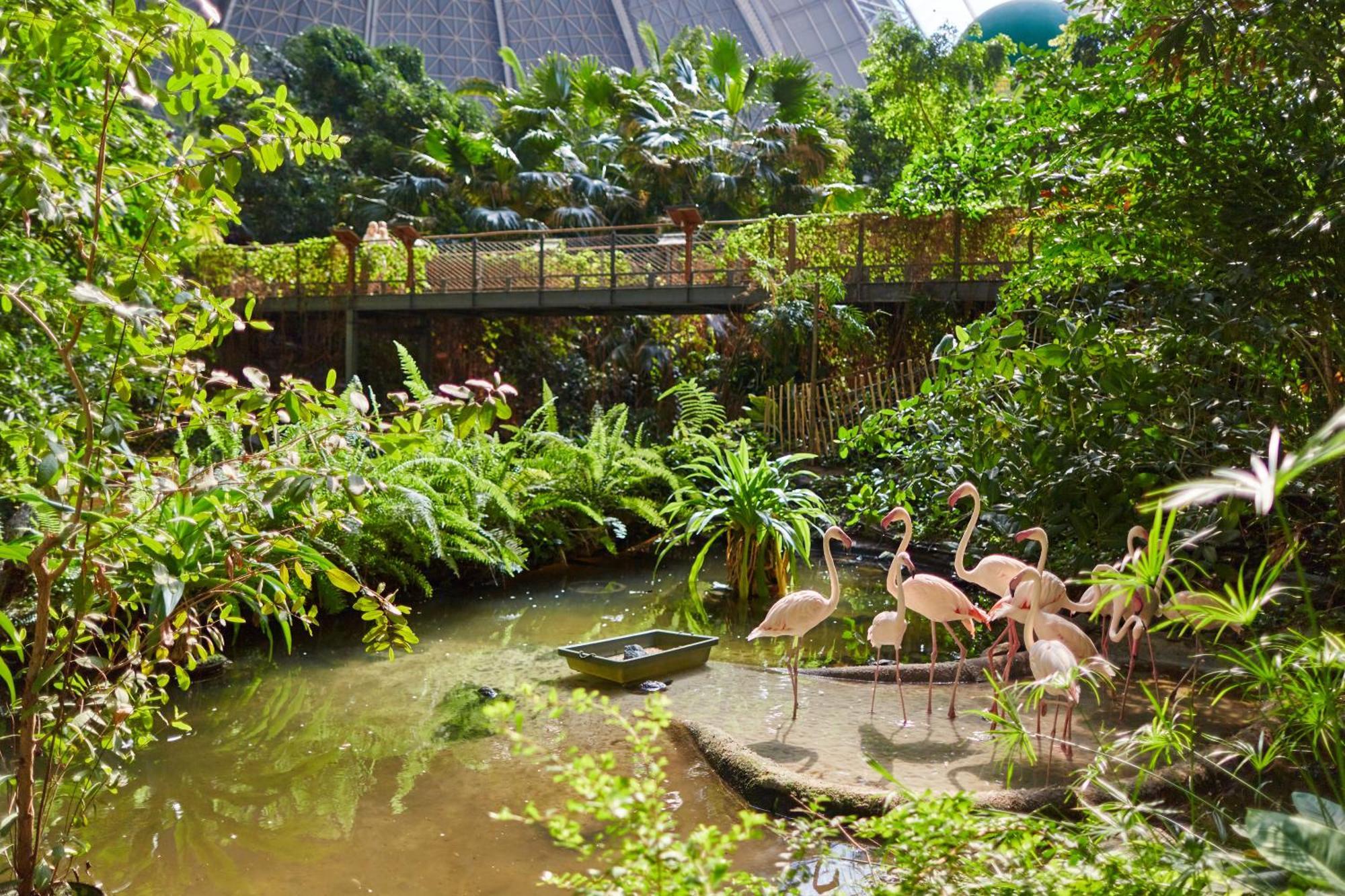 Tropical Islands Resort Briesen  Kültér fotó
